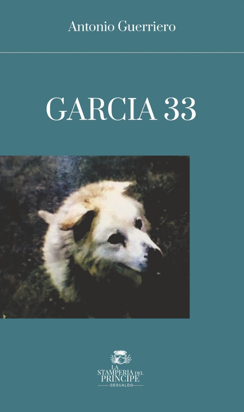Garcia 33